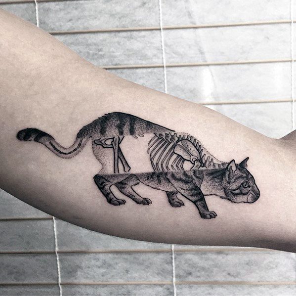 Creative cat tattoo on the inner arm, featuring a skeletal and anatomical split design for a unique and artistic visual effect.