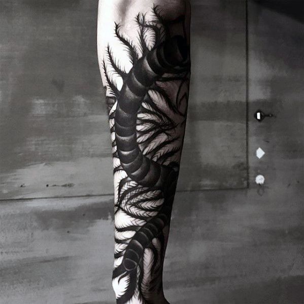 Amazing Mens Forearm Centipede Tattoo Designs