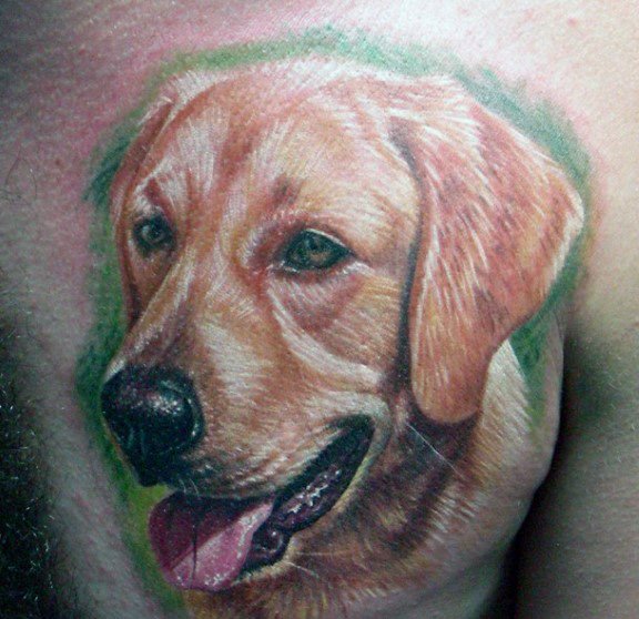 Realistic Golden Retriever tattoo on a man's chest, featuring lifelike fur details, expressive eyes, and a green background for contrast.