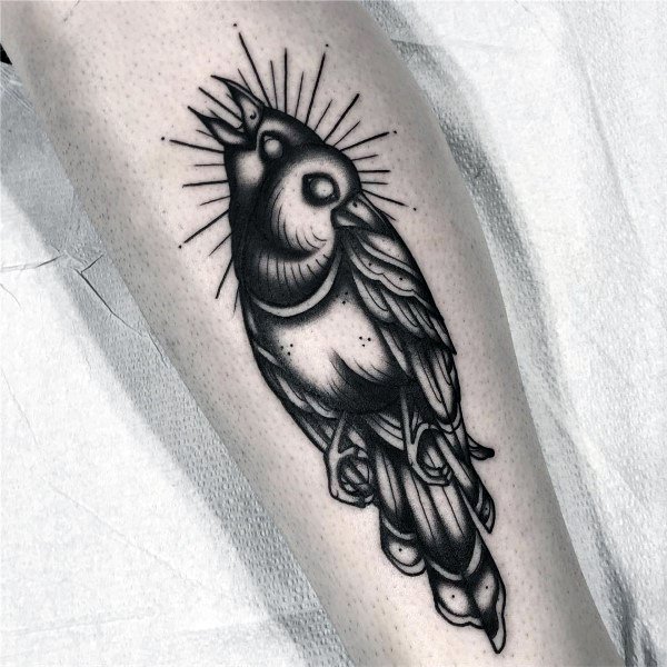 Black and gray magpie tattoo on forearm, featuring bold linework, intricate shading, and radiant light rays for a striking and mystical design.