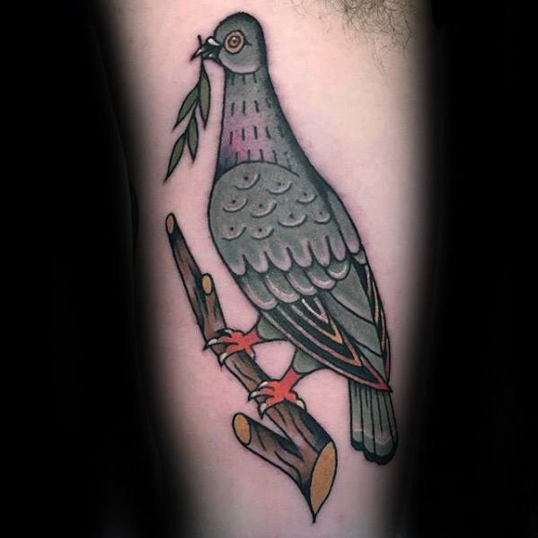 Pigeon tattoo on forearm featuring bold outlines, perched on a branch with olive leaf in beak, symbolizing peace and resilience.