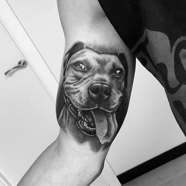 Amazing Mens Realistic 3d Pitbull Tattoo Designs On Inner Arm Bicep