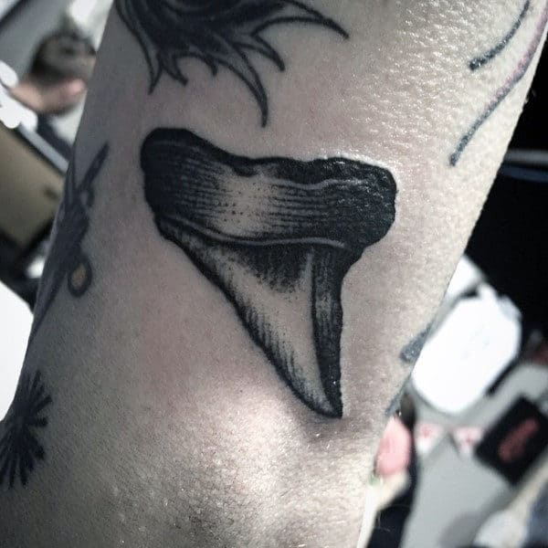Amazing Mens Small Shark Tooth Tattoo Design Ideas On Outer Forearm