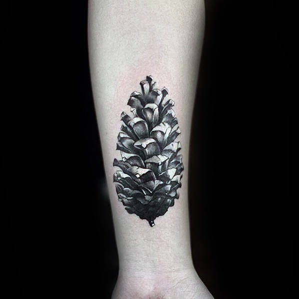 Amazing Realistic 3d Pine Cone Mens Inner Forearm Tattoo Design Ideas