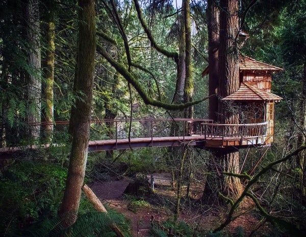 A rustic treehouse connected by a wooden bridge nestled in a lush, green forest