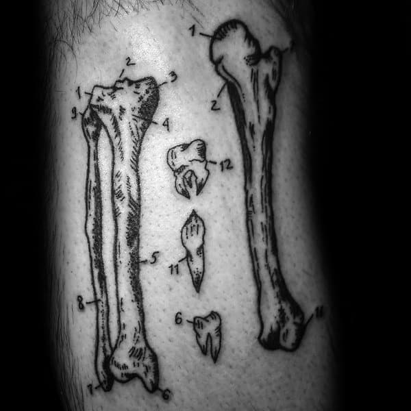 Black ink tattoo of labeled anatomical bones and teeth, resembling a scientific diagram with numbered parts on a dotted background.