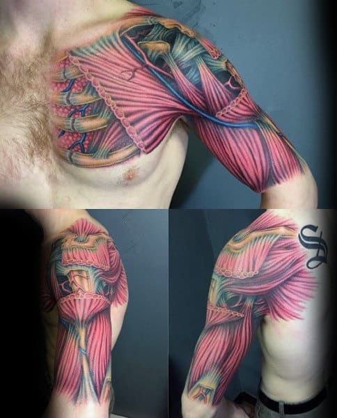 Full-arm anatomical tattoo showing exposed muscle fibers and tendons in vibrant red and blue tones, creating a 3D skinless effect.