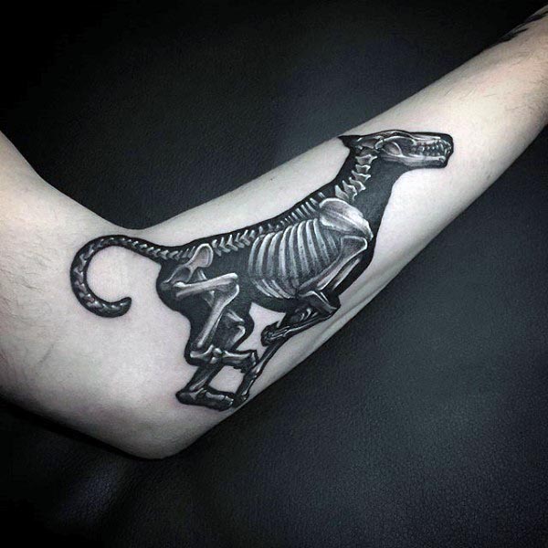 Animal Running X Ray Cool Mens Forearm Bone Tattoos