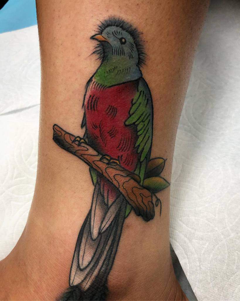 Colorful quetzal tattoo on ankle, featuring a red chest, green wings, and long tail feathers, perched on a branch with leaves