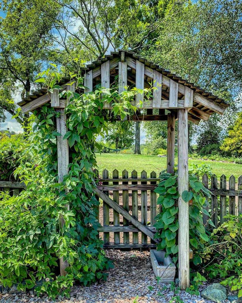 wood arbor garden gate ideas green vines