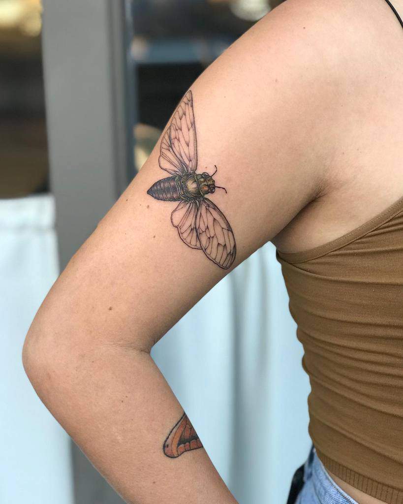 A tattoo of a cicada on a woman's upper arm