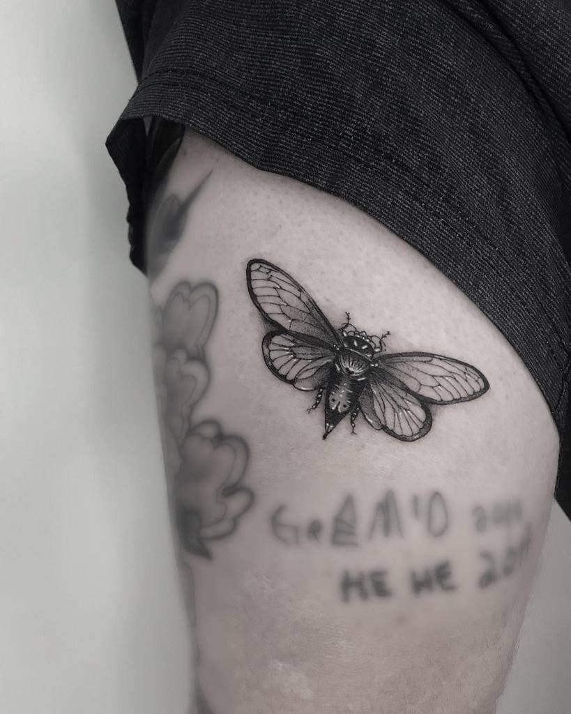 Intricate black ink cicada tattoo on the upper arm, featuring detailed wings and body for a realistic effect.