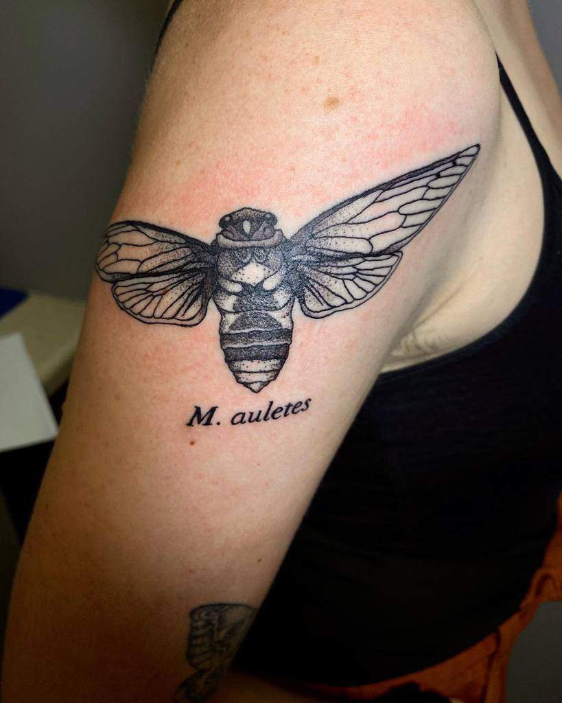 Tattoo of a detailed cicada and "M. auletes" on an upper arm
