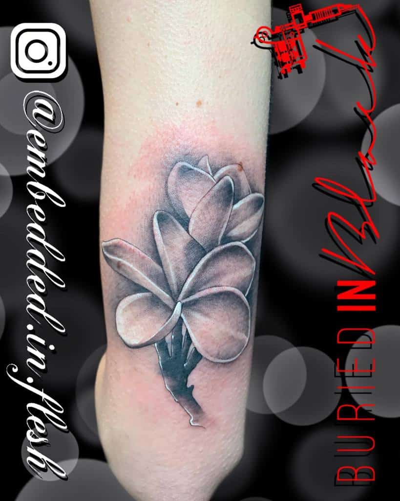 Black and gray Plumeria flower tattoo on the forearm, showcasing smooth shading and subtle highlights for a realistic and soft appearance