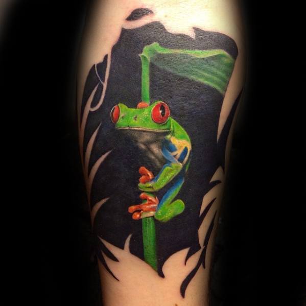 Arm Artistic Male Tree Frog Tattoo Ideas