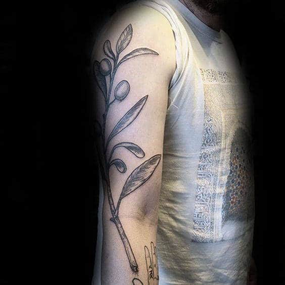 Arm Olive Branch Tattoos For Males