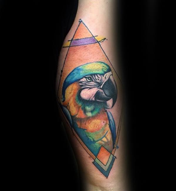 Arm Parrot Mens Tattoo Designs