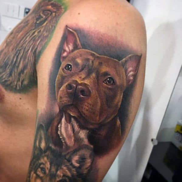 Arm Pitbull Tattoo Ideas For Gentlemen