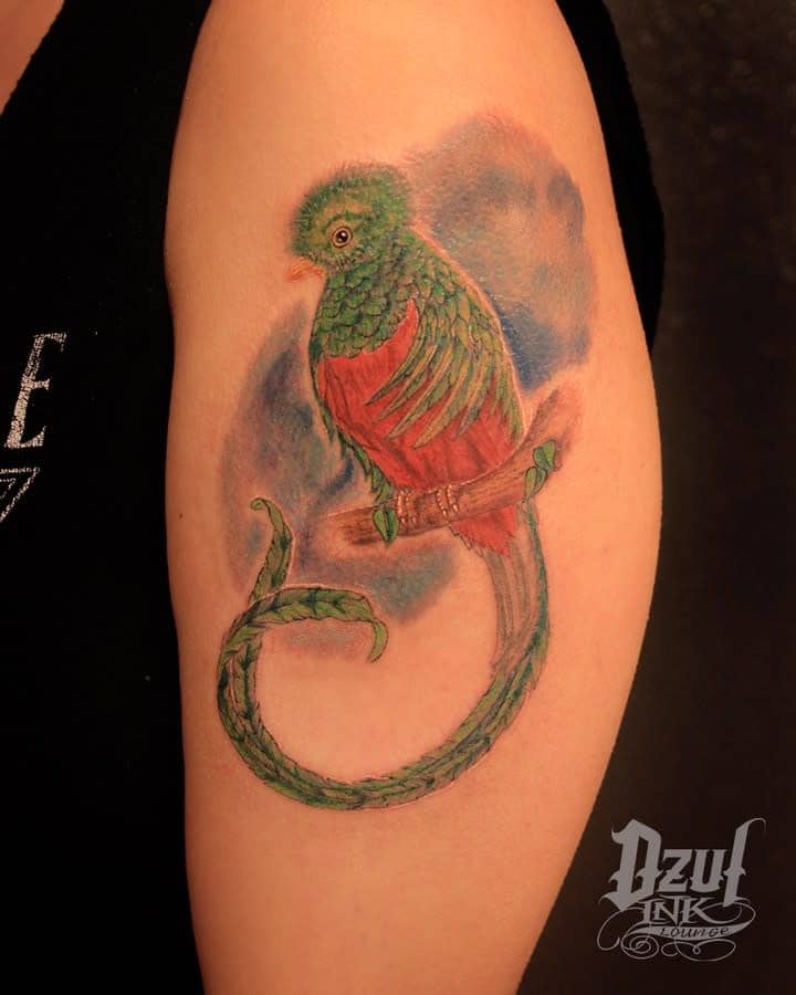 Tattoo of a colorful quetzal with green and red feathers on an arm, set against a blue shaded background