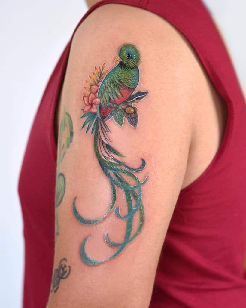 Colorful quetzal tattoo with flowing tail and flowers on an upper arm