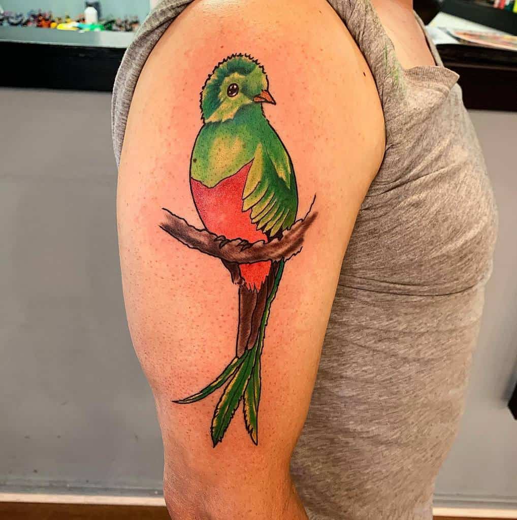 Tattoo of a vibrant quetzal with green, red, and brown feathers perched on a branch, located on an upper arm