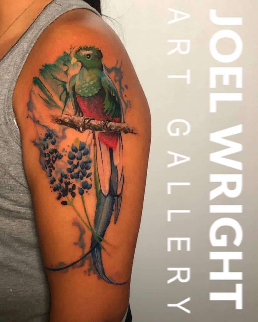 Watercolor-style quetzal tattoo on the upper arm, featuring a vibrant green and red bird perched on a branch, with blue floral elements and artistic splashes