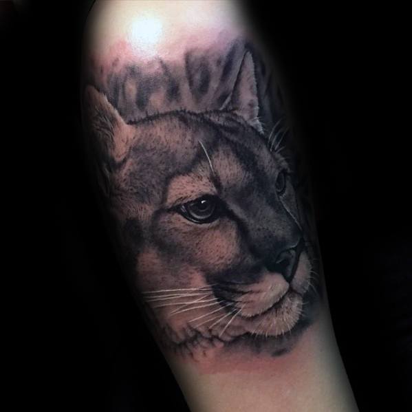 Arm Realistic Male Cool Mountain Lion Tattoo Ideas