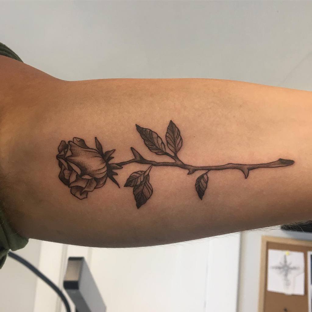 Tattoo of a detailed rose with an intricate stem winding elegantly along the arm