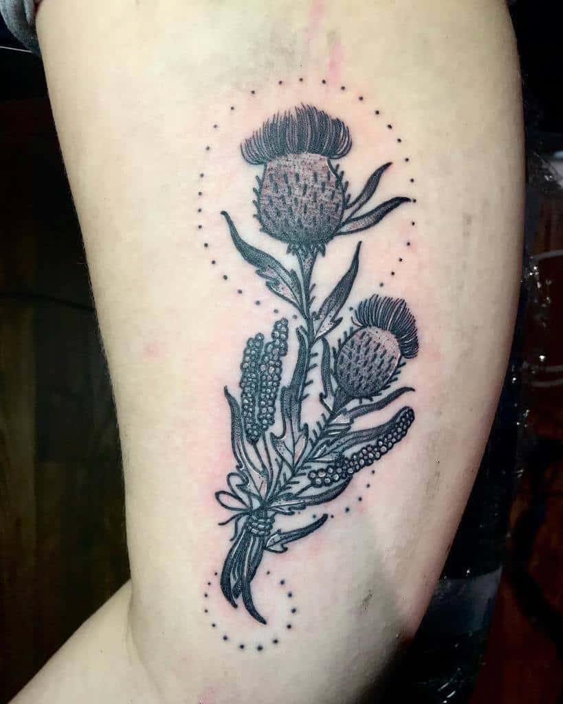 A tattoo featuring an intricately detailed thistle and lush leaves adorned with delicate dotted accents elegantly graces the upper arm