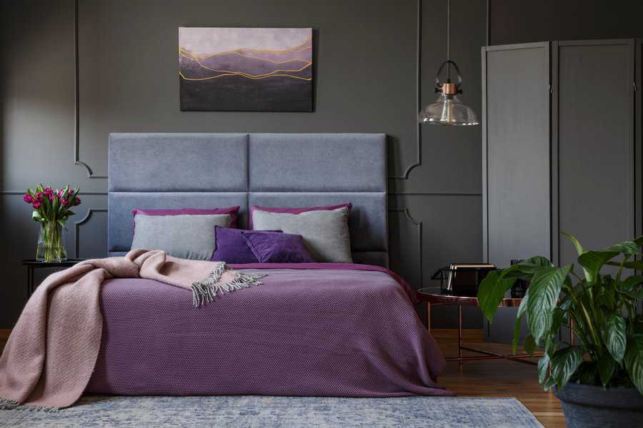Modern bedroom with a grey headboard, purple bedding, and decorative pillows; a plant, nightstand with lamp, and wall art complete the cozy space