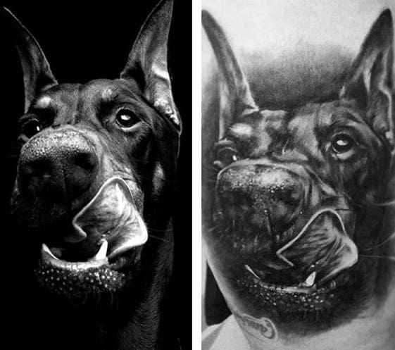 Hyper-realistic black and grey Doberman tattoo showing a close-up of the dog licking its nose, capturing intense detail and texture.