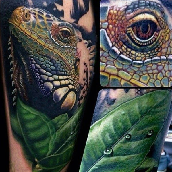 Realistic iguana tattoo with vibrant colors, detailed eye close-up, and lush green leaf featuring water droplets.