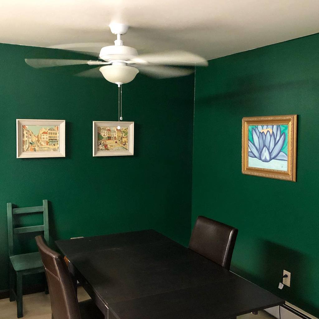 green walls black table and chairs framed wall art celing fan