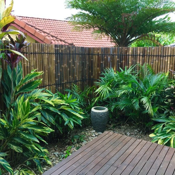 Bamboo privacy fence with tropical plants and a small wooden deck in a cozy backyard corner.