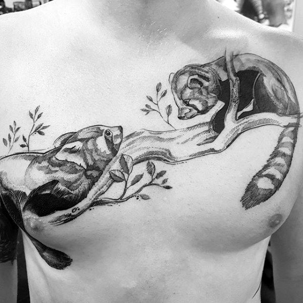 Awesome Black And Grey Ink Chest Red Pandas On Tree Branch Tattoos For Men