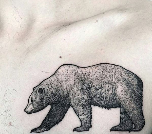 Awesome Detailed California Bear Male Chest Tattoos