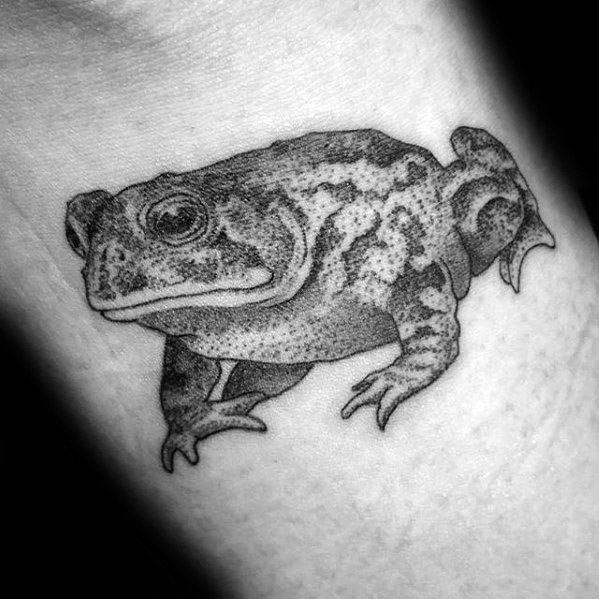 Awesome Dotwork Arm Toad Tattoos For Men