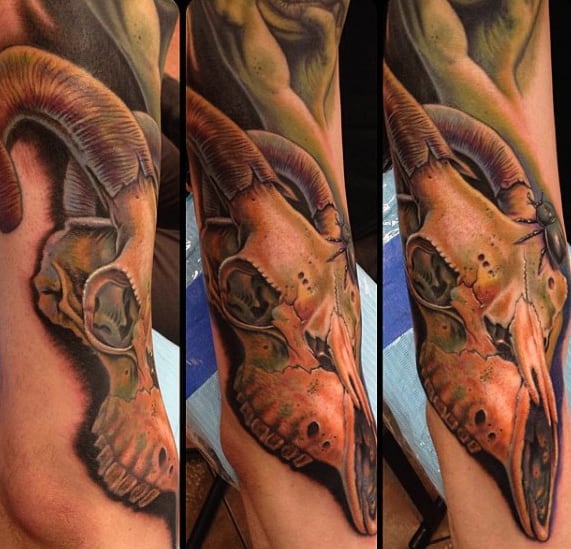 Awesome Goat Skull 3d Guys Outer Arm Tattoos
