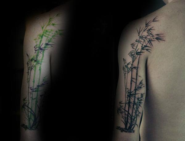 Awesome Green Bamboo Ink Tattoo On Mans Arm