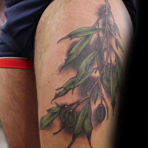 Tattoo of an olive branch with leaves and olives on an upper thigh