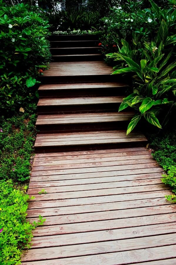 Walkway with wooden steps, surrounded by lush green plants and foliage