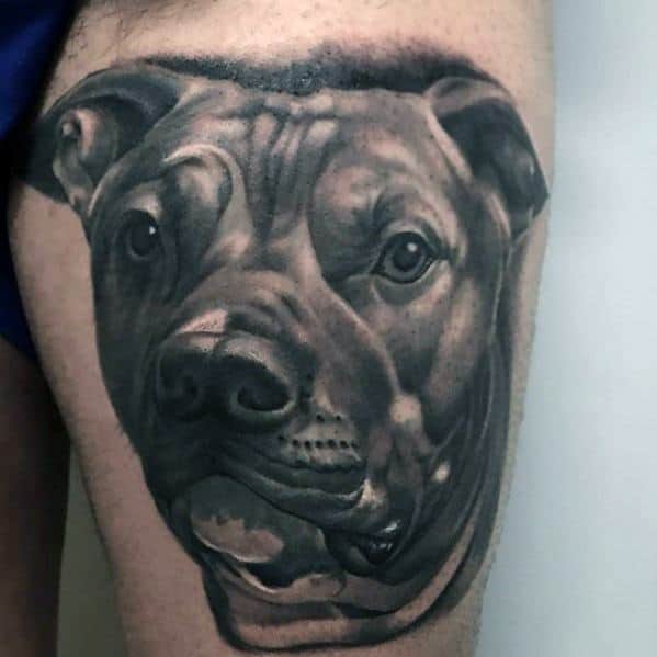 Awesome Thigh 3d Realistic Pitbull Tattoos For Men