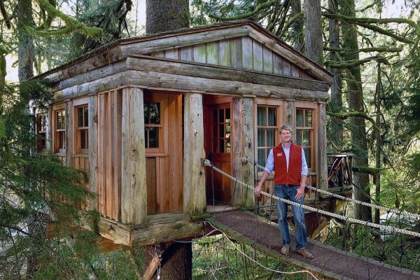 A person stands on a wooden bridge leading to a treehouse surrounded by lush greenery