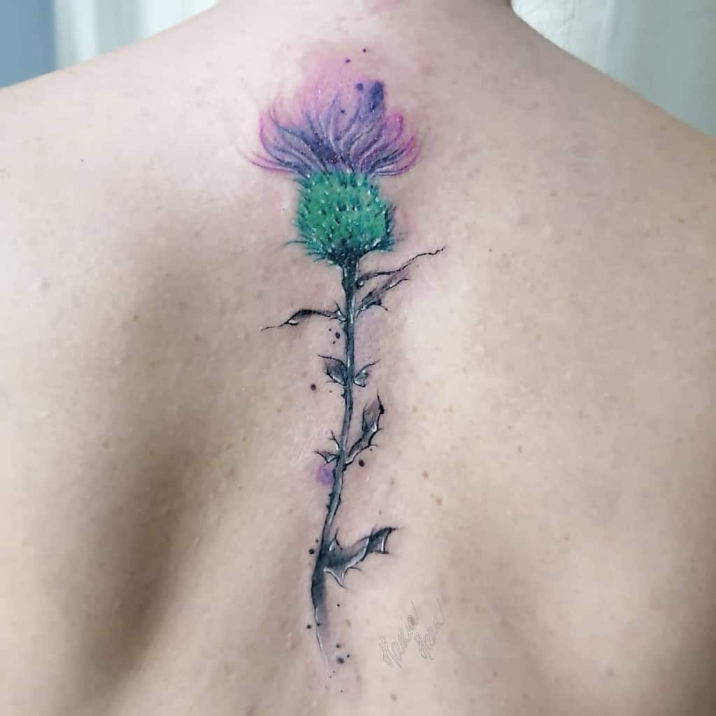 A vibrant thistle tattoo in a watercolor style graces the person's back, beautifully showcasing pink and green hues