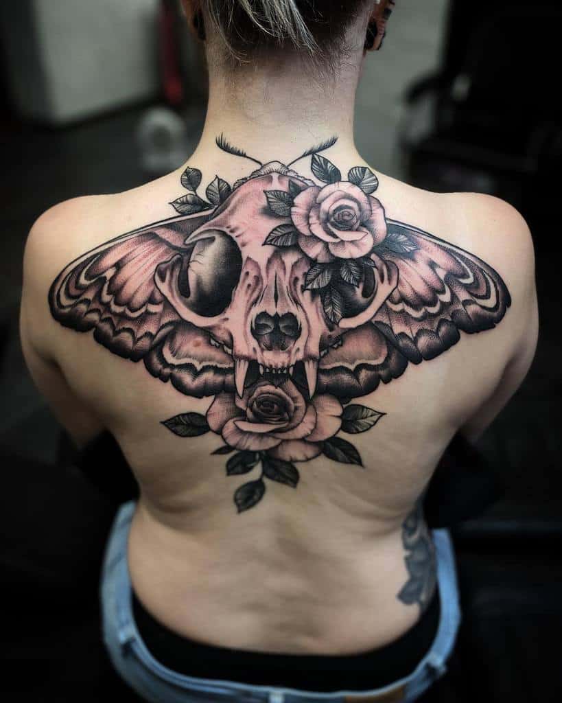 Tattoo on upper back of a moth with a cat skull and roses incorporated in the design