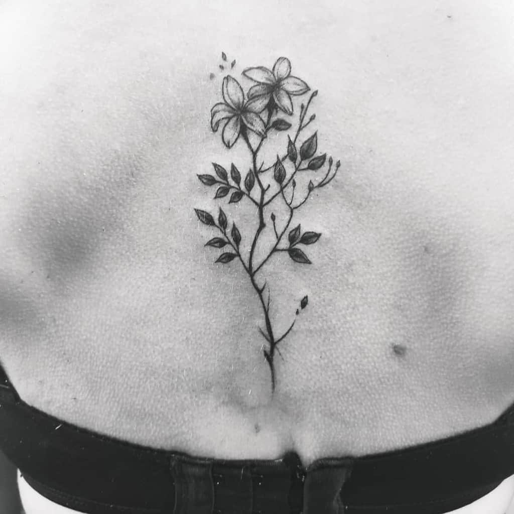 Black and white tattoo of jasmine flowers and leaves on back