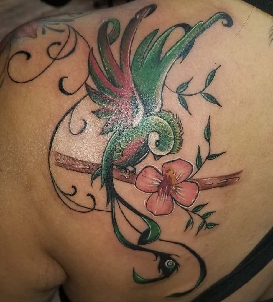 Elegant quetzal tattoo on the upper back, featuring a vibrant green and red bird with flowing tail feathers, perched on a branch with a pink flower and swirling decorative elements