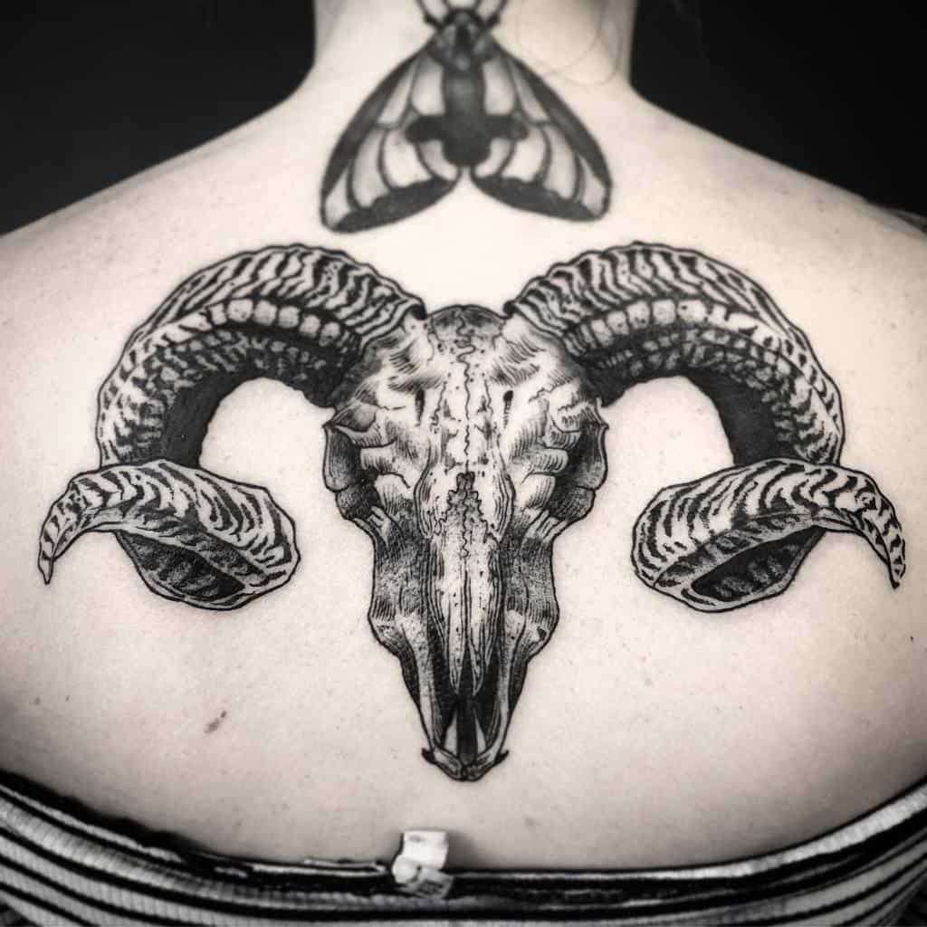 Tattoo of a ram skull on an upper back, intricately detailed with a moth floating just above it