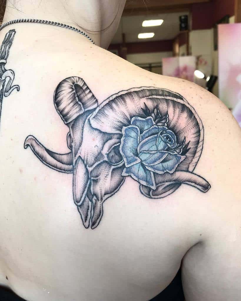 Tattoo of a ram skull adorned with a blue rose on a shoulder blade
