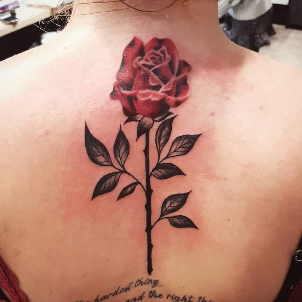 A striking tattoo adorns the person's upper back, featuring a large red rose elegantly intertwined with deep black leaves